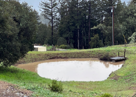 Pond Restoration Initiative