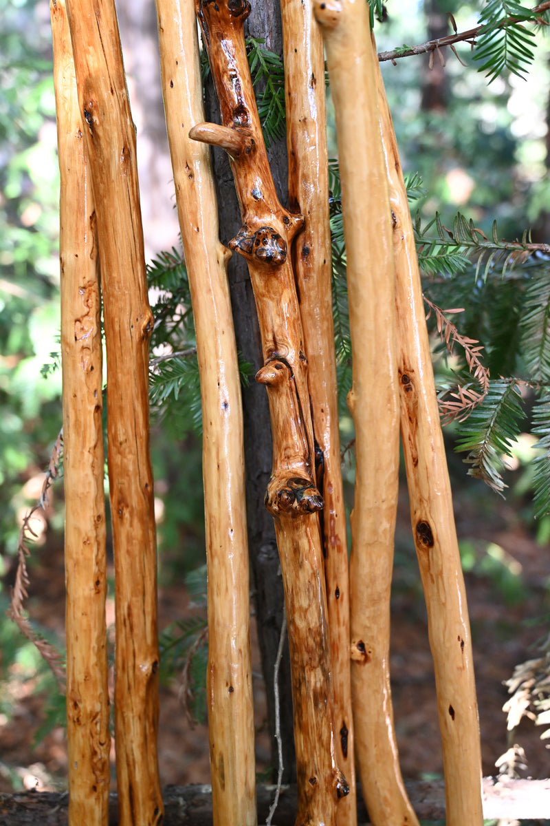 California Redwood Walking Stick - Finished